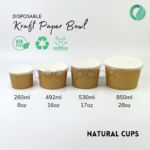 Natural Kraft Paper Bowl + PP LID