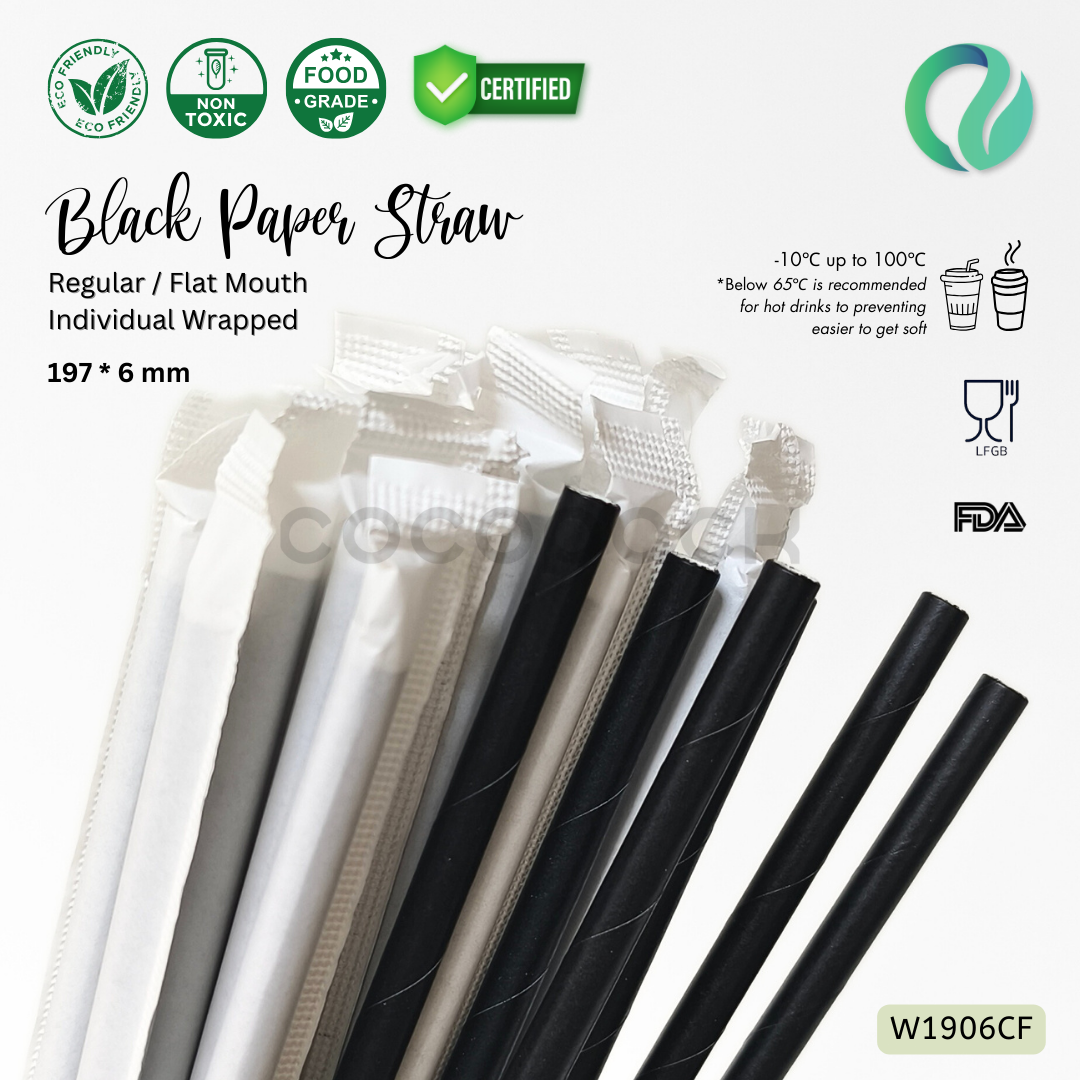 Individual Black Paper Straw - Flat Mouth 197*6mm