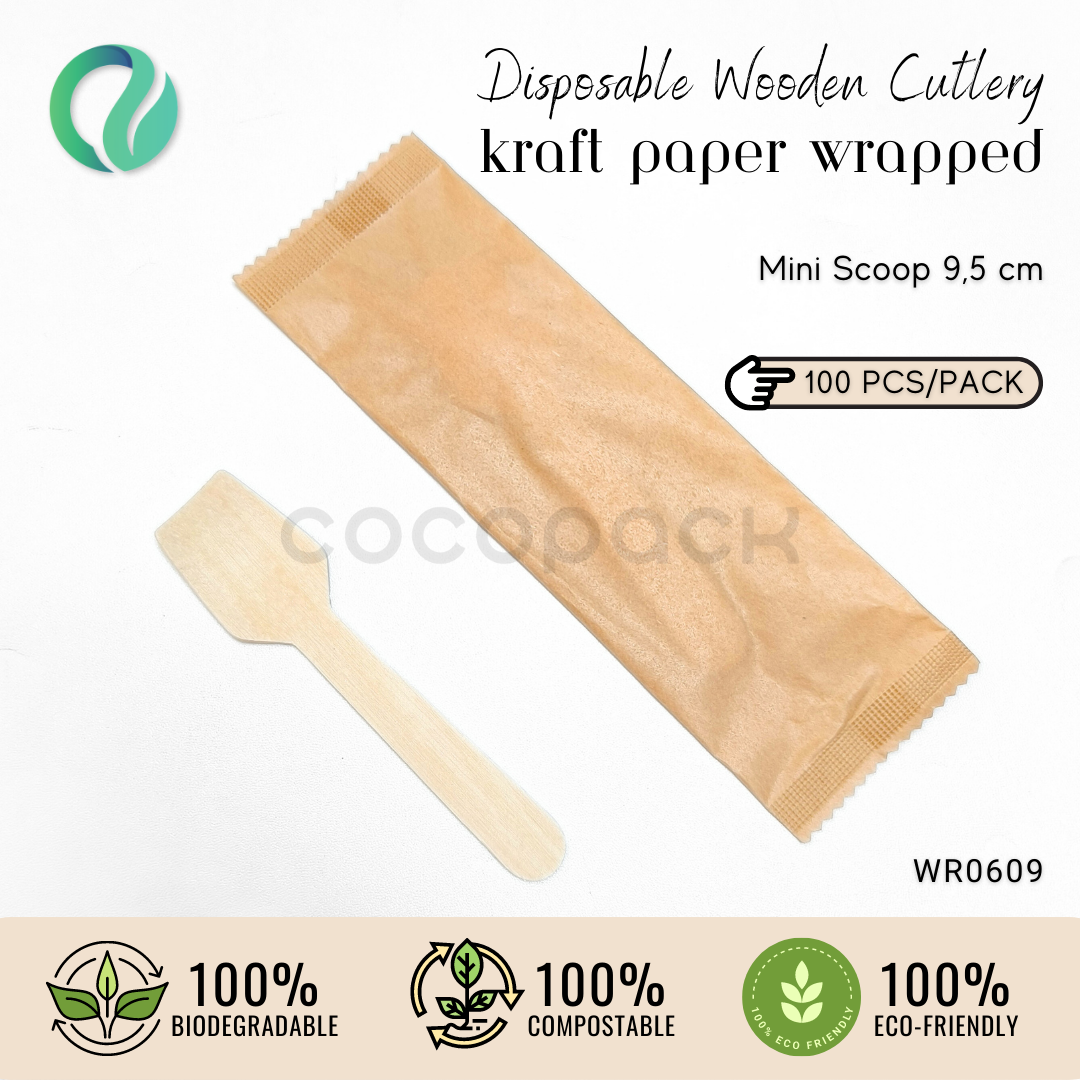 Individual Pack Wooden Mini Spoon 9,5 cm