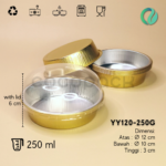 YY120-250