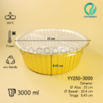 YY250-3000