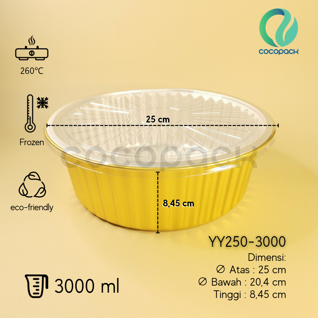 YY250-3000
