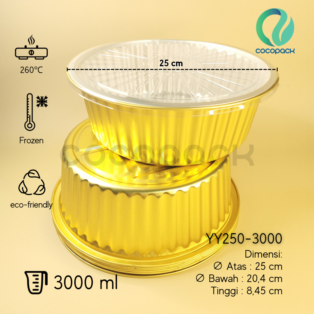 YY250-3000 - Gambar 2