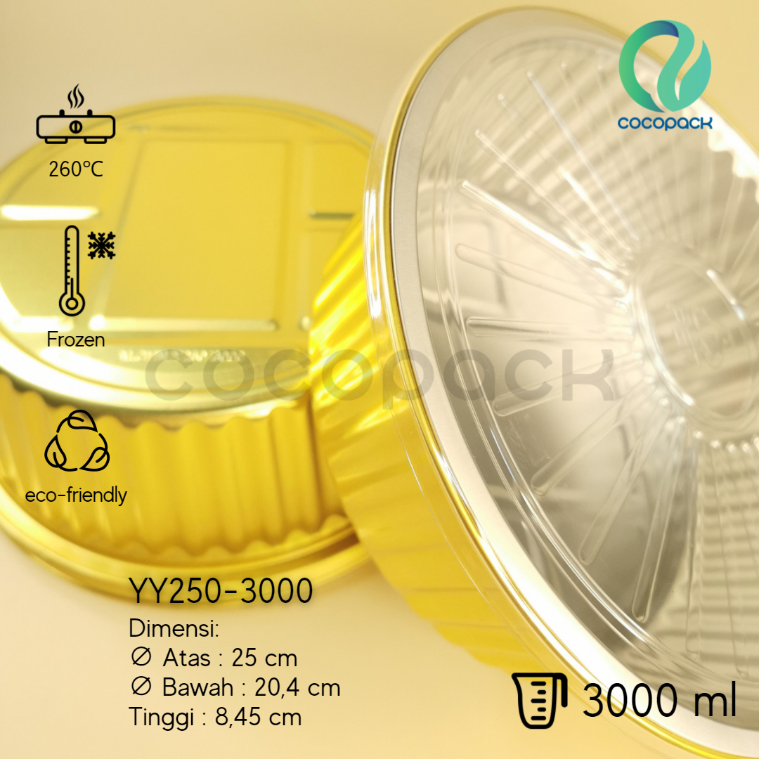 YY250-3000 - Gambar 3